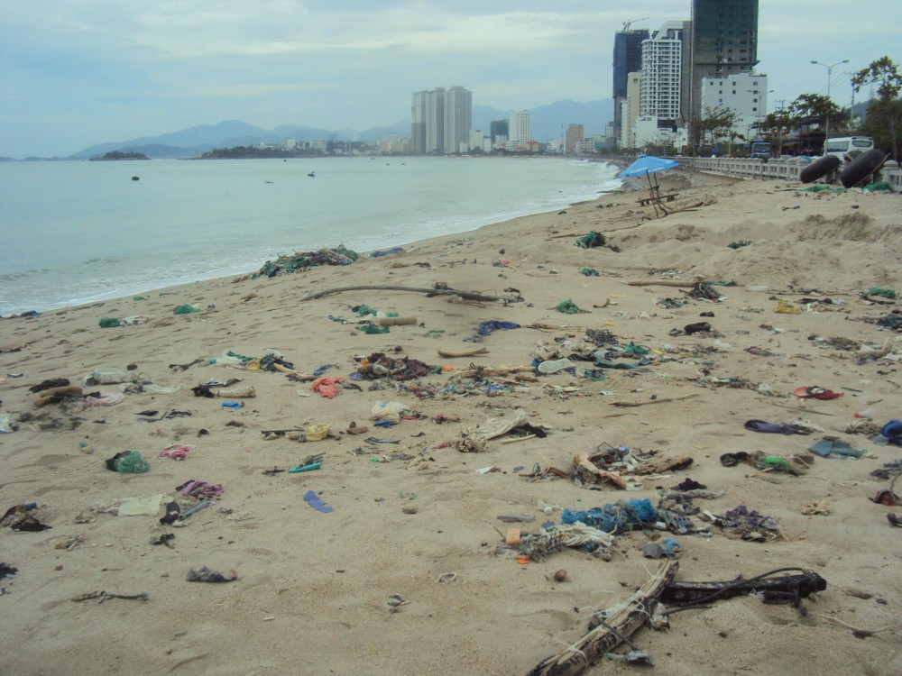 芽莊海灘上的垃圾。（圖源：互聯網）