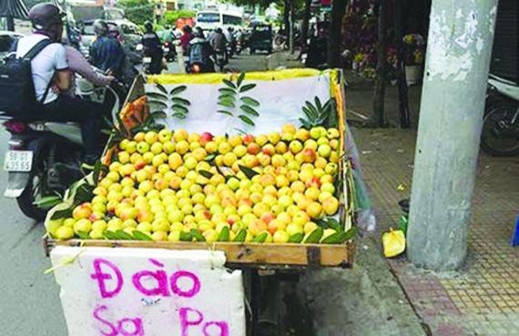 來自中國的油桃正充斥市場。（圖源：互聯網）