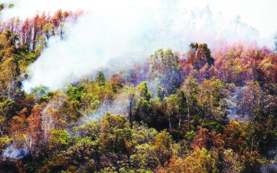 圖為埵石山樹林火警現場。（圖源：玉威）