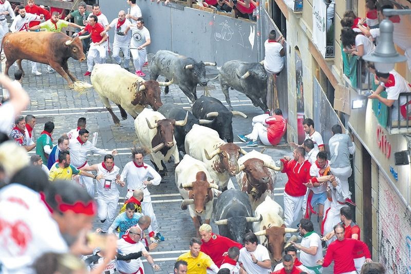 參加奔牛節的觀眾躲避牛群衝撞。（圖源：AFP）