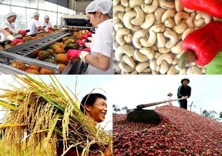 中國目前是越南的主要農產品出口市場，越南農產品在中國市場廣受歡迎。（示意圖源：互聯網）