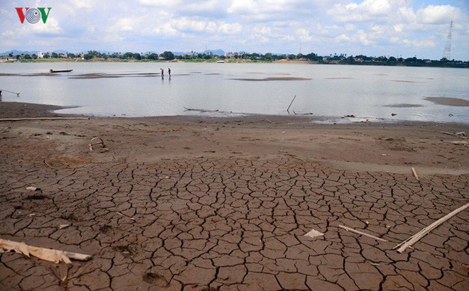 圖為泰國東北部湄公河水位創新低。（圖源：VOV）