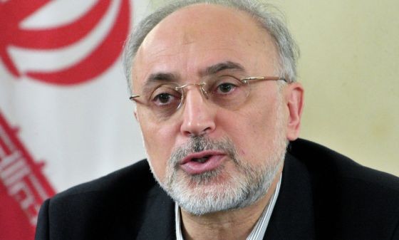 伊朗原子能組織負責人阿里‧阿克巴爾‧薩利希。（圖源：互聯網）