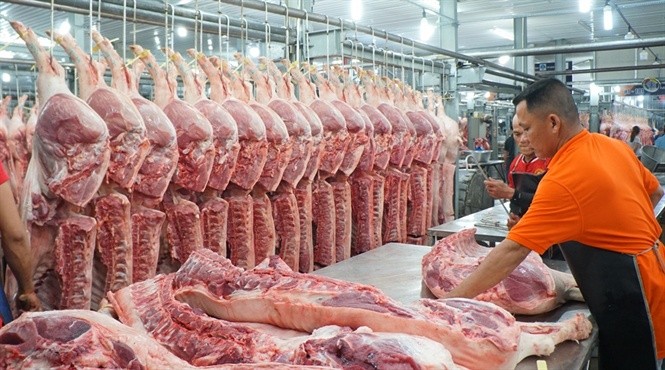 本月8日，生豬的售價每公斤為3萬6000至3萬9000元，比近日最低價格上升每公斤約6000至9000元。（示意圖源：互聯網）