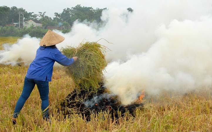 露天燃燒稻草會導致空氣品質惡化、危害民眾 健康。（圖源：互聯網）