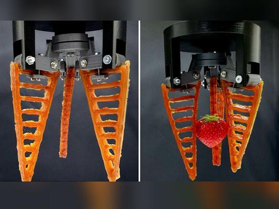 英國劍橋大學研究人員開發可自我修復柔性機器人。（圖源：互聯網）