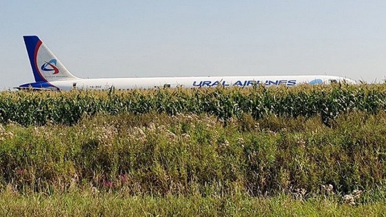 飛機緊急在茹科夫斯基機場進行硬著陸時衝出跑道，並最終降落在距機場跑道1公里外的玉米地裡。（圖源：互聯網）