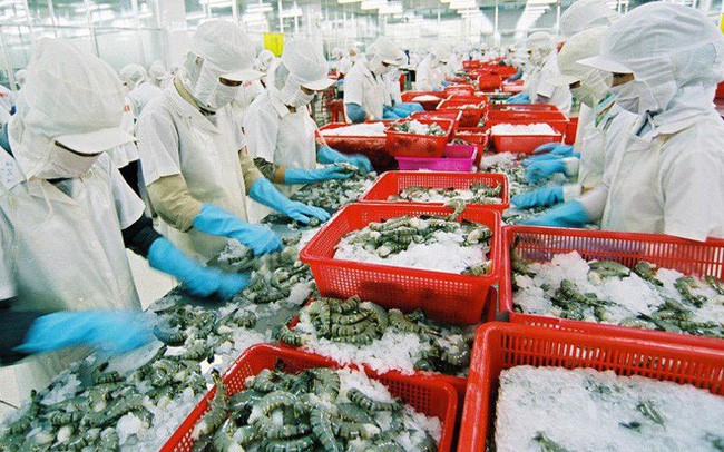 今年上半年，越南蝦類出口額達14億美元，同比減少12%。（圖源：互聯網）