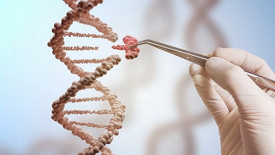 世界衛生組織宣佈啟動一項針對人類基因組編輯活動的全球性註冊計劃。（示意圖源：互聯網）