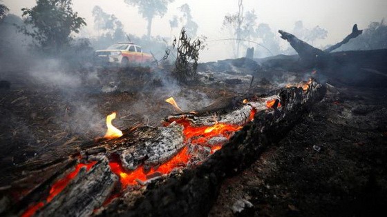 世衛組織：亞馬遜大火易引起呼吸系統疾病。（圖源：互聯網）