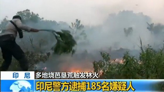 印尼警方已逮捕185名在印尼蘇門答臘島和加里曼丹島燒芭墾荒觸發林火的嫌疑人。（圖源：CCTV視頻截圖）