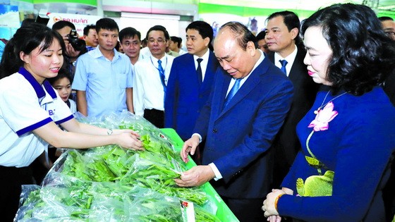 阮春福總理瞭解農業成果展品。（圖源：越通社）