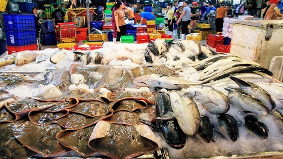 平田集散市場：目前多種飼養的淡水魚類價格比前幾個月上漲15%至35%。（圖源：田升）