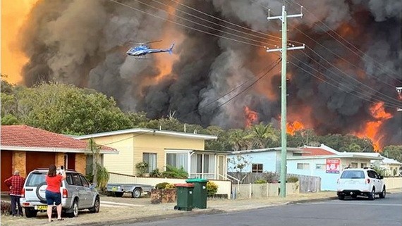 新南威爾士省東北部多地野火延燒。（圖源：AFP）