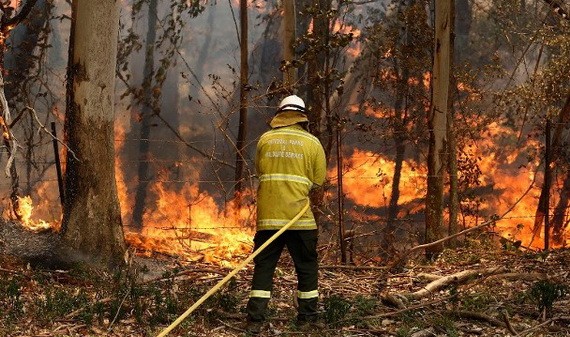 新南威爾士省的山火蔓延。（圖源：AP）