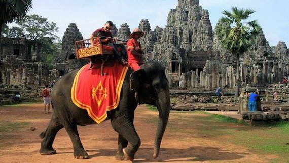 吳哥窟管理當局表示，利用大象進行商業行為並不恰當，將自2020年初起禁止騎象。（圖源：互聯網）