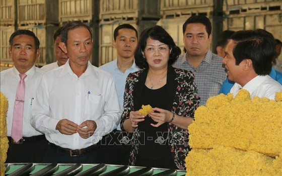 國家副主席鄧氏玉盛（中）及中央工作團參觀同奈橡膠總公司的橡膠加工廠。（圖源：越通社）