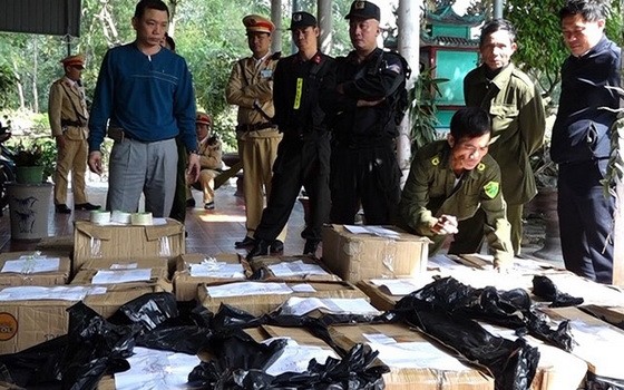 廣平省公安職能力量查獲的非法收藏鞭炮。（圖源：香江）