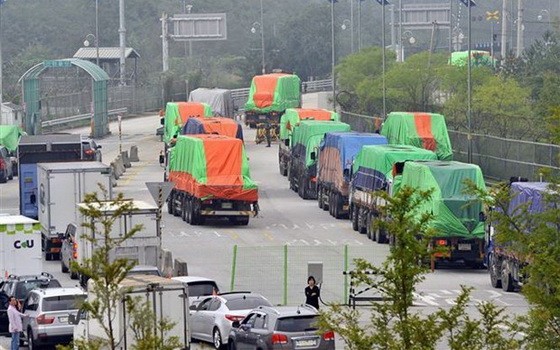 裝載500噸麵粉的大卡車從韓國運往朝鮮，橫跨位於首爾北部坡州的重防護邊境。（圖源：AFP）