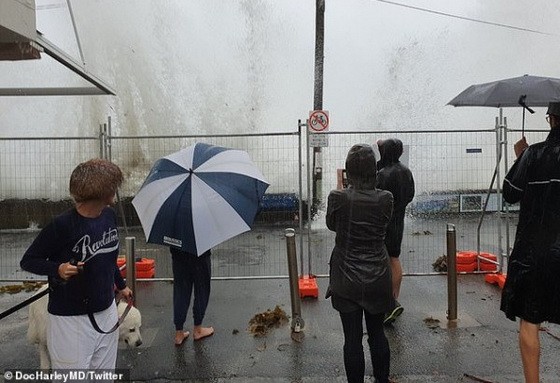 民眾在悉尼Manly附近觀看巨浪拍打海岸。（圖源：《每日郵報》）