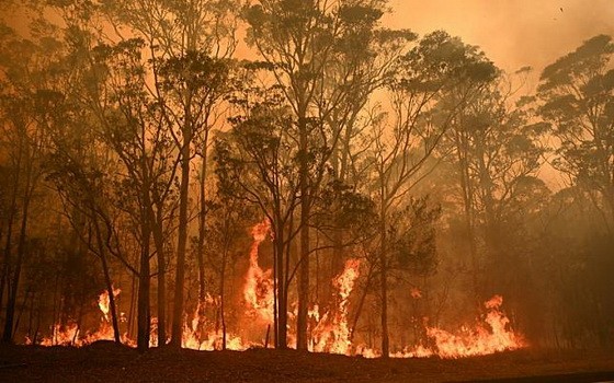 澳大利亞山火影響惡劣，澳洲75%的民眾自認受到這波致命野火危機影響。（圖源：新華社）