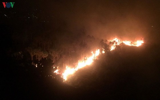 林同省保祿市大平山上松林起火。（圖源：VOV）