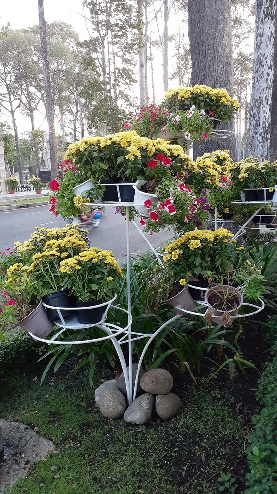 第五郡在郡行政區前的路段擺設了多個花架，架上放置多種開得燦爛的鮮花盆。