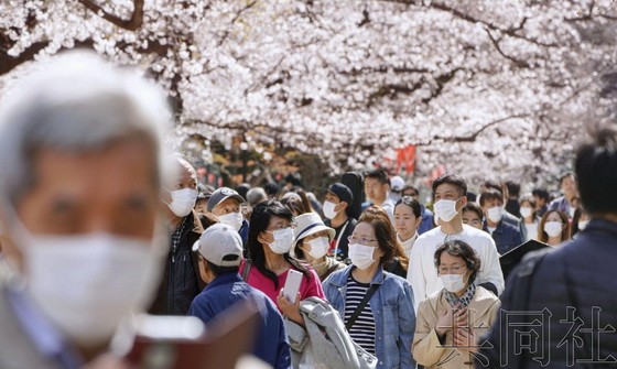 東京都台東區的上野公園21日迎來大量賞櫻遊客，顯得十分熱鬧。（圖源：共同社）