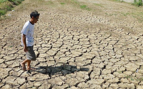 九龍江平原區域乾旱情況日益嚴重。（圖源：玲芳）