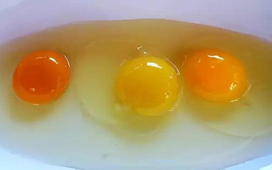 喝生雞蛋能預防新冠肺炎一消息純屬謠言。（示意圖源：互聯網）