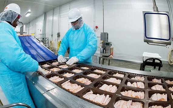 肉類加工廠工人正工作。（圖源：互聯網）