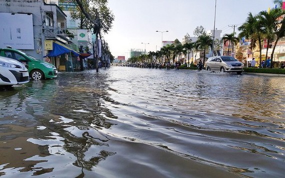 今年南部區域還有4次大潮汛。圖為2019年10月1日芹苴市戊申街被淹一片汪洋。（圖源：前鋒）