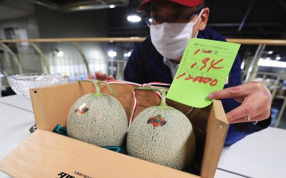 兩個“夕張甜瓜”拍出12萬日元天價。（圖源：互聯網）