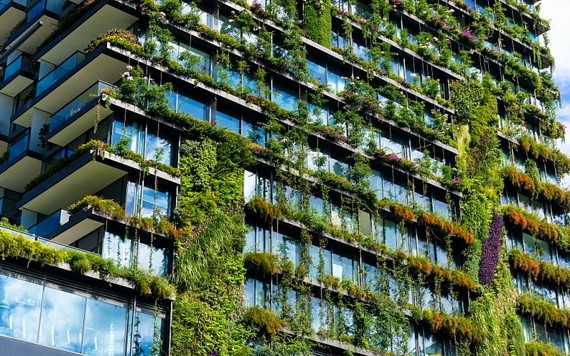 許多綠化將有助大廈、住房節省造涼能源。