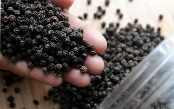 黑胡椒目前售價為每公斤5萬2000至5萬4000元。（示意圖源：互聯網）