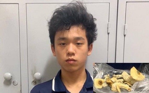 被捕的嫌犯阮陳俊方與“迷幻蘑菇”的毒品物證（小圖）。（圖源：警方提供）