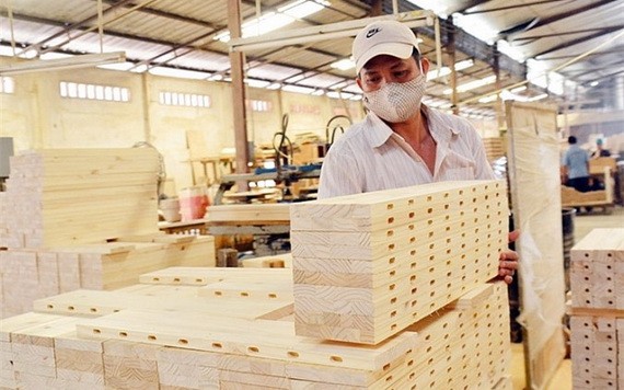 今年上半年，木材與木製品出口額約達49億8000萬美元，同比增2.4%。（圖源：阮幸）