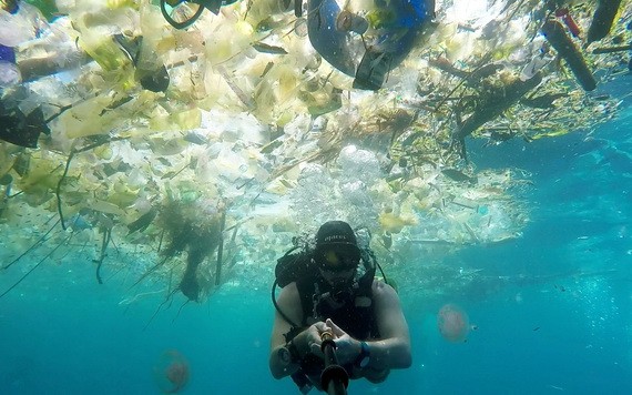 根據發表的一份最新研究，每年流入海洋、導致海洋生物死亡的塑料垃圾量，20年後恐達到目前的3倍。（示意圖源：互聯網）