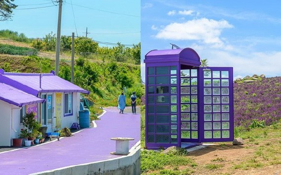 放眼望去，整座島嶼的道路房屋以及電話亭全漆上紫色。（圖源：互聯網）