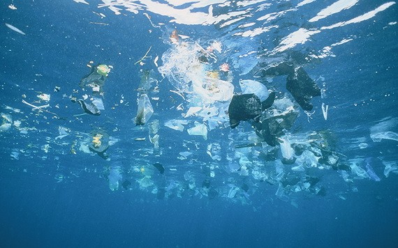 大西洋漂浮千萬噸微塑料垃圾。（圖源：互聯網）