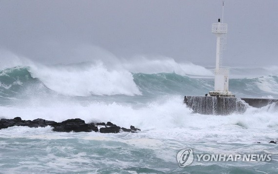 9月6日，在濟州西歸浦前海，颱風掀起巨浪。（圖源：韓聯社）