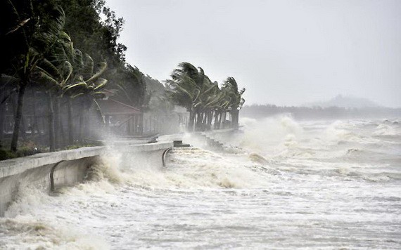 5號颱風即將登陸中部各省，沿海一帶掀起大浪到巨浪。（示意圖源：互聯網）