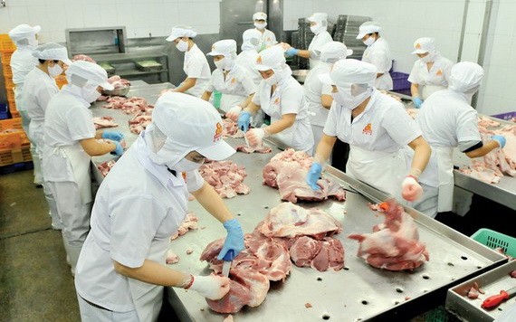 Vissan公司在加工豬肉。