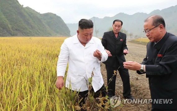 朝鮮國務委員會委員長金正恩（左一）親往颱風災區指導修復重建工作。（圖源：韓聯社）