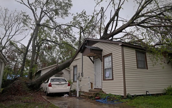 當地時間10月10日，美國路易斯安那州查爾斯湖的居民遭受颶風“德爾塔”襲擊，樹木倒塌壓在房屋上，不少居民選擇撤離。（圖源：互聯網）
