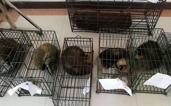圖為中國警方破獲一宗非法販賣野生動物案。（圖源：互聯網）