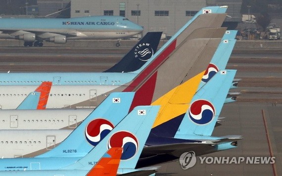 11月16日，大韓航空和韓亞航空客機停放在仁川國際機場。（圖源：韓聯社）