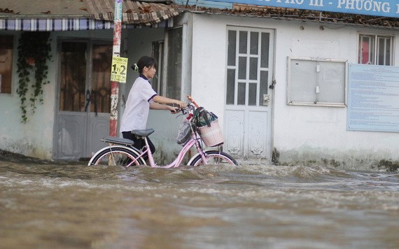 潮汛導致本市多條沿河街道受淹。（圖源：丁金）