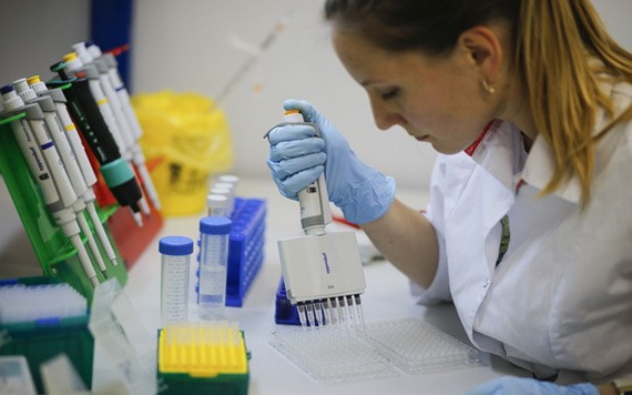 新冠疫苗研究人員在實驗室內工作。（圖源：新華社）