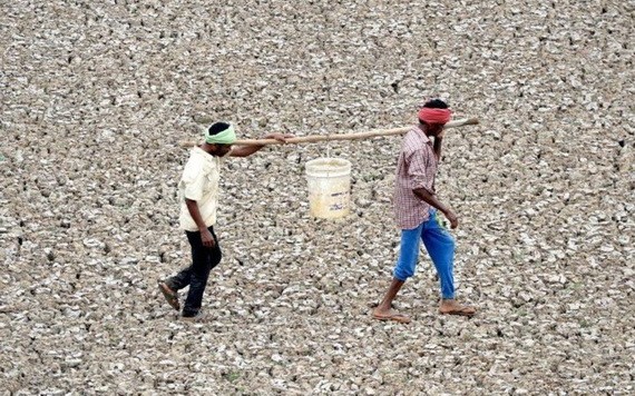 兩名印度工人在金奈郊外幾乎乾涸的普扎爾水庫小水塘中取水。（圖源：Getty Images）
